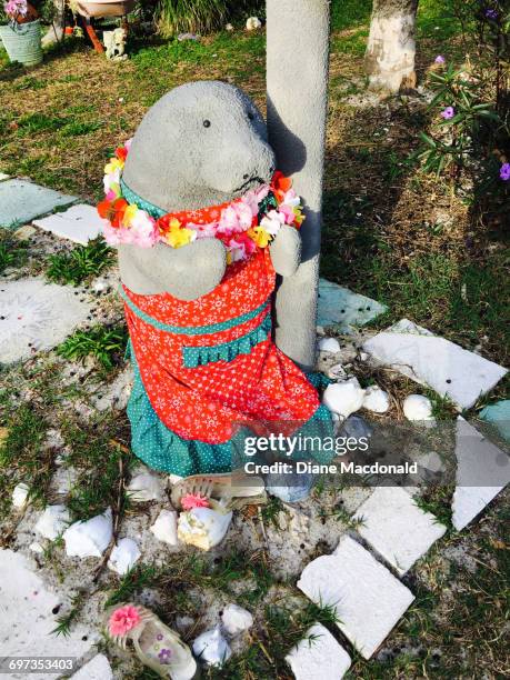 Shell Lui Shell Lei Photos and Premium High Res Pictures - Getty Images