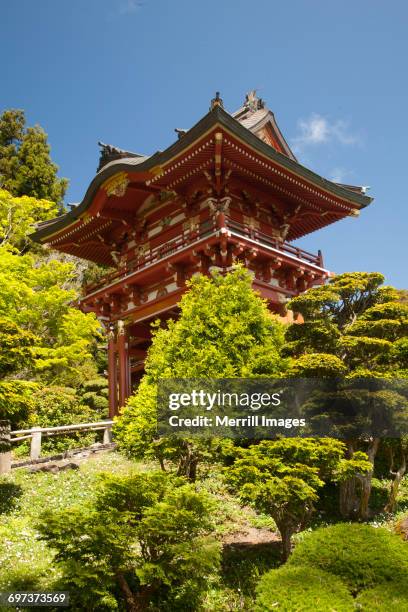 japanese tea garden - parque de golden gate fotografías e imágenes de stock