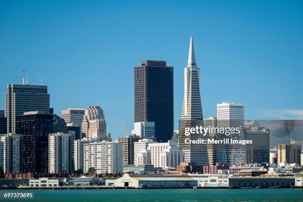 san francisco skyline - transamerica pyramid stock pictures, royalty-free photos & images