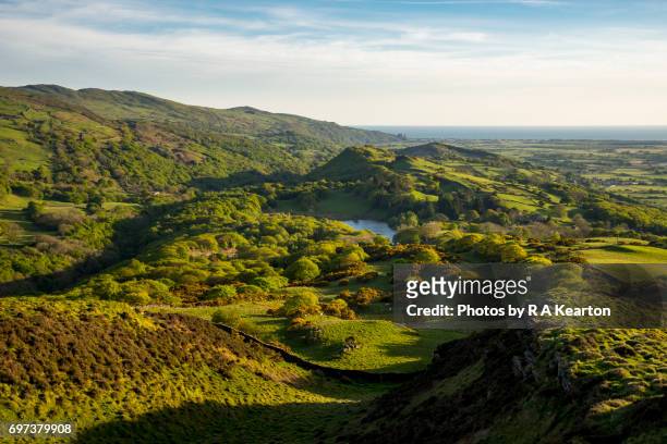 beautiful green landscape in north wales - gwynedd stockfoto's en -beelden