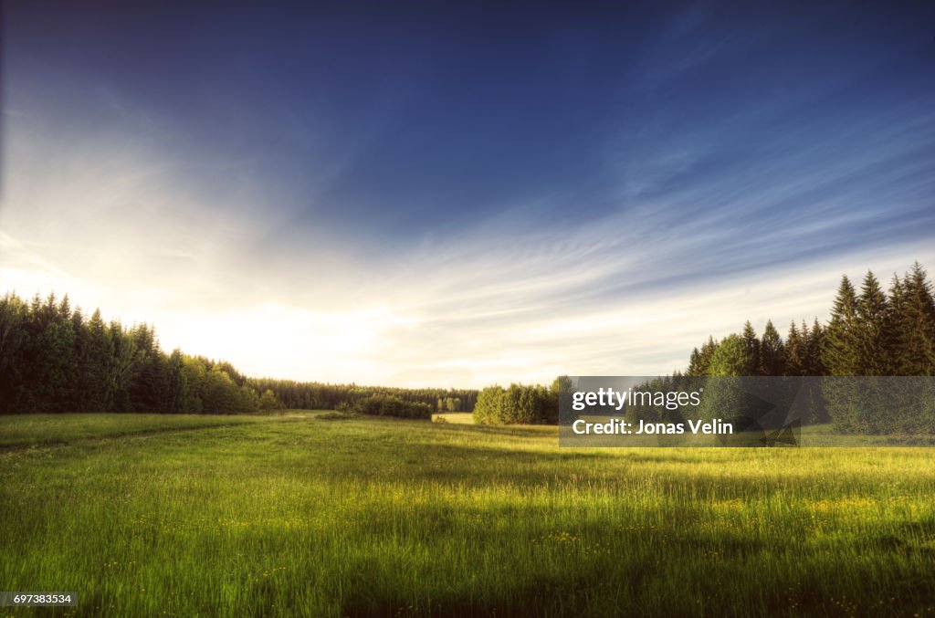 Zweedse landschap