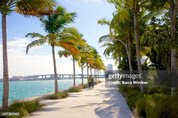 couple on waterside promenade, miami, florida - brickell miami stock pictures, royalty-free photos & images