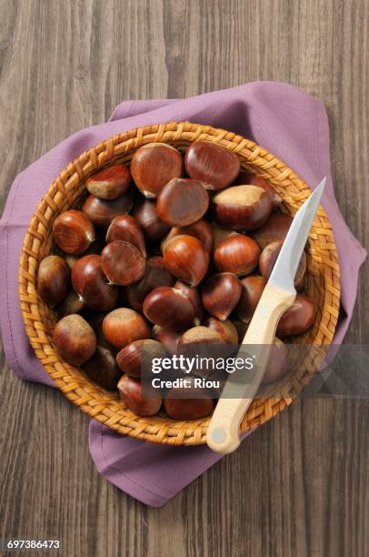 chestnut - napkin overhead stock illustrations