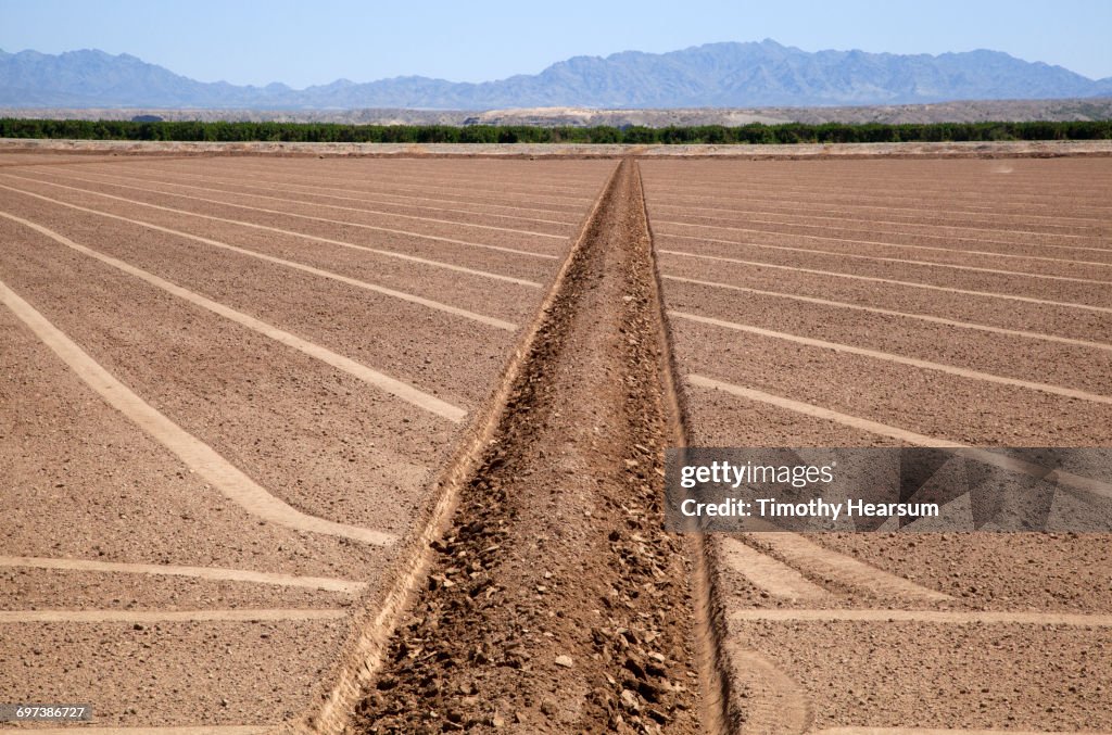 Irrigation ditch; plowed field ready for planting