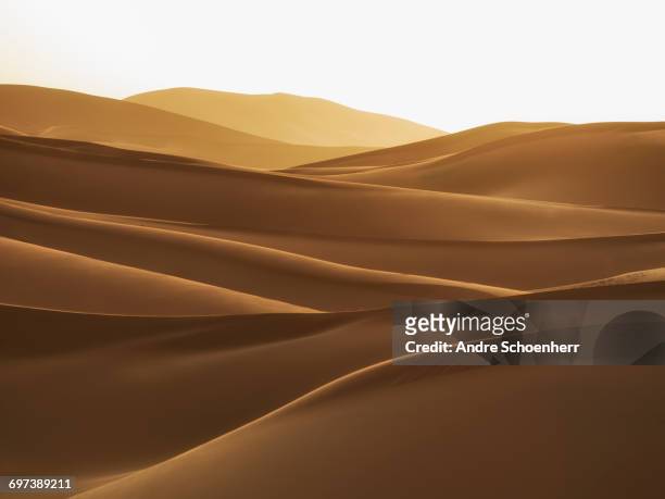 erg chebbi - sand dune stock pictures, royalty-free photos & images