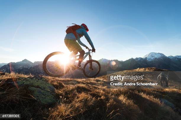 mountainbiking in the austrian alps - mountainbiken fietsen stockfoto's en -beelden