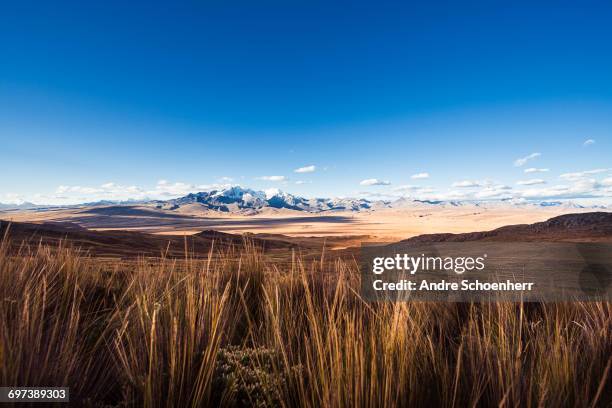 cordiliera blanca - andre schoenherr stock pictures, royalty-free photos & images