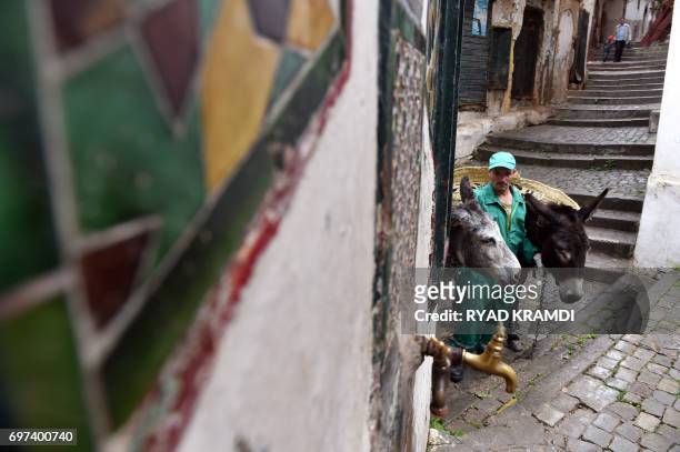 Garbage collector leads donkeys in the old part of Algiers, known as the "Kasbah", on May 22, 2017 as they collect the rubbish in the alleyways of...