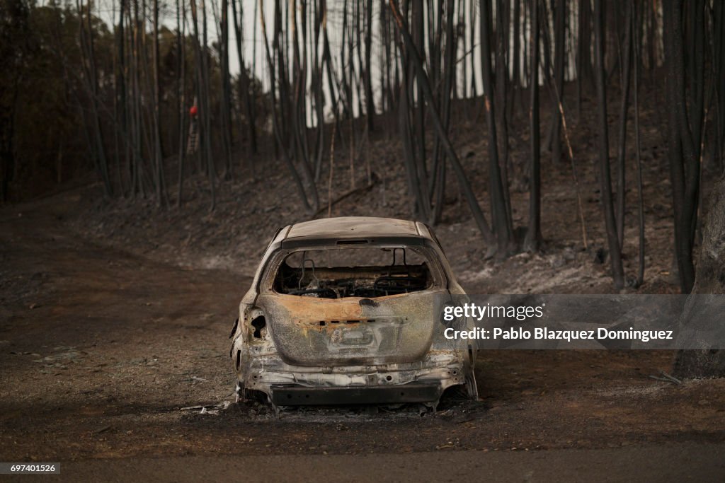 Dozens Dead In Forest Fire In Portugal