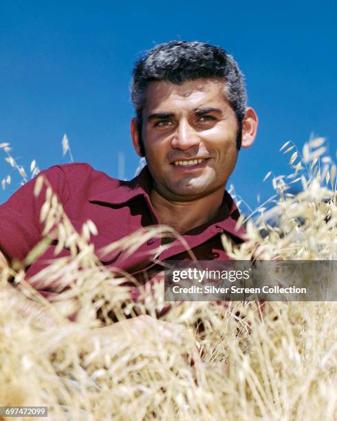 American actor Jeff Chandler poses in the long grass, circa 1960.