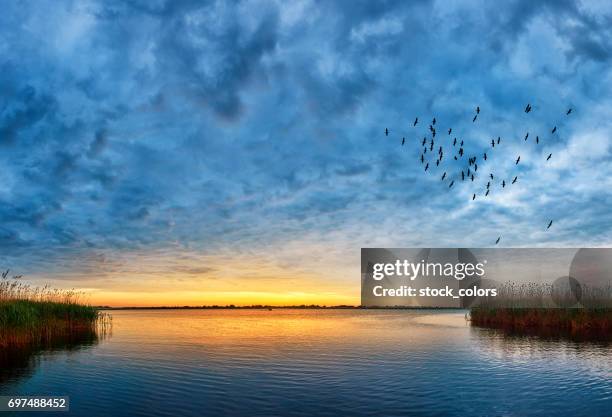 sunset over danube river - river danube stock pictures, royalty-free photos & images