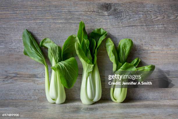 pak choy - chinese cabbage imagens e fotografias de stock