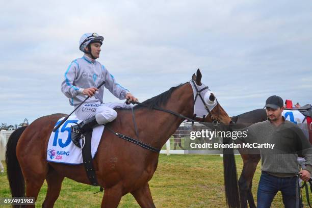 Attack the Line ridden by Luke Currie returns to the mounting yard after winning the Mogas Regional BM58 Handicap at Donald Racecourse on June 19,...