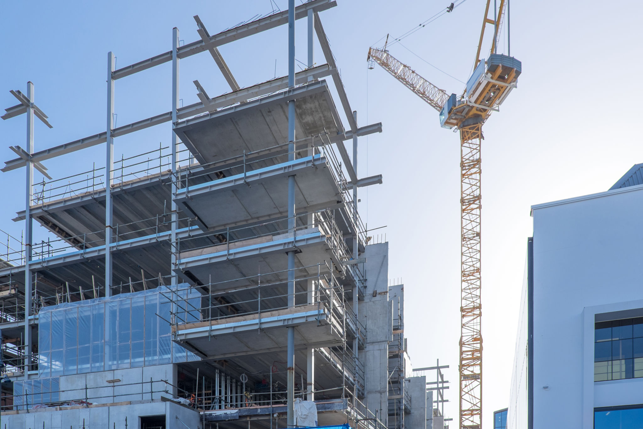 auckland construction