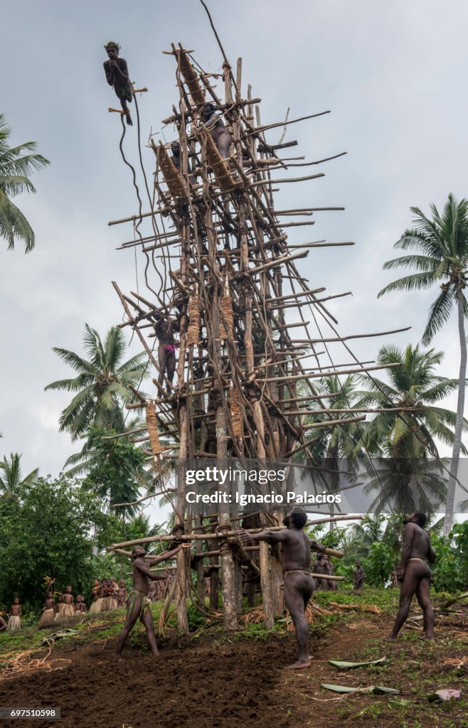 Naghol Ritual Locals Jumping Performing The Naghol Or Land Diving Festival Pentecost ...
