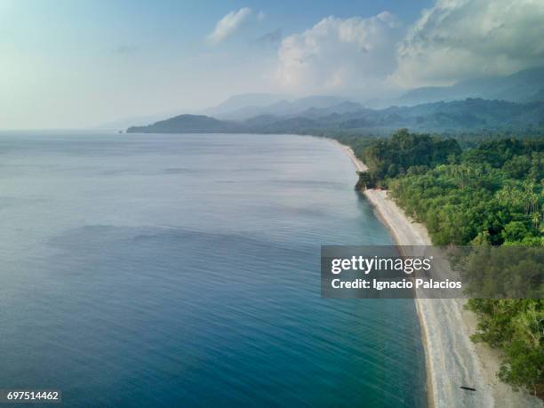 Pachava 220 Pentecost Island Vanuatu Stock Photos, High-Res Pictures, and ...