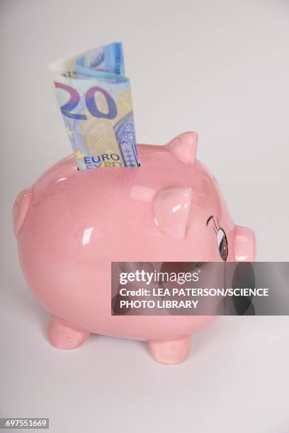 piggy bank with a twenty euro note - twenty euro note stock-fotos und bilder