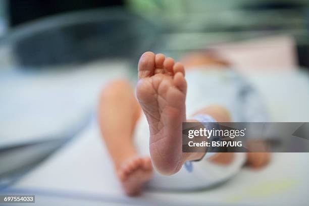 newborn baby - hospital bracelet stock pictures, royalty-free photos & images