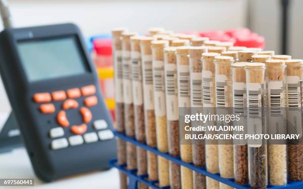 Media Samples For Testing Food Sample Testing Photos and Premium High Res Pictures - Getty Images