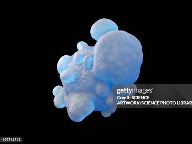 neutrophil, illustration - neutrophil stock illustrations