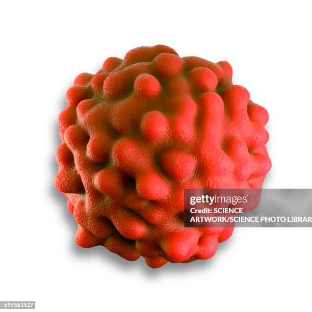 illustrazioni stock, clip art, cartoni animati e icone di tendenza di rectal cancer cell - cancro tumore