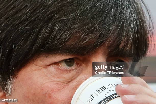 Head coach Joachim Loew of Germany looks on during the FIFA 2018 World Cup Qualifier between Germany and San Marino at Stadion Nuernberg on June 10,...