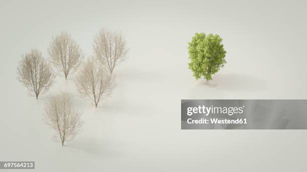 3d rendering, bare maple trees opposing green tree - bare tree stock illustrations