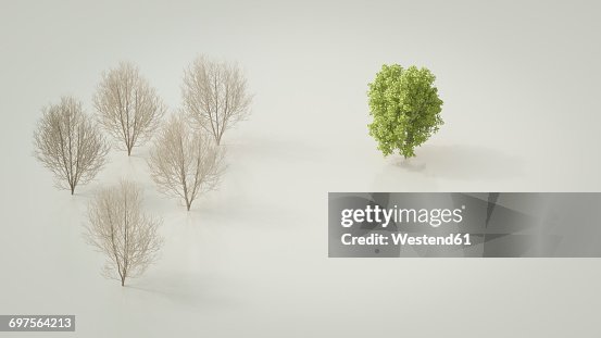3D rendering, Bare maple trees opposing green tree 3D rendering, Bare maple trees opposing green tree