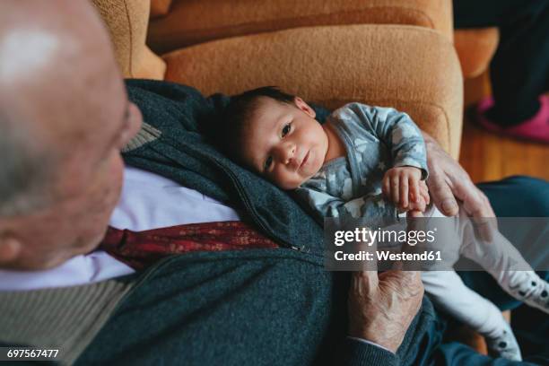 Grad Father 3,624 Great Grandfather Grandfather Stock Photos, High-Res Pictures ...