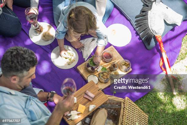 family enjoying a picnic - picnic basket stock pictures, royalty-free photos & images