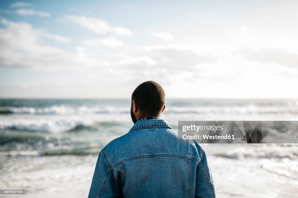 Back view of young man looking at the sea