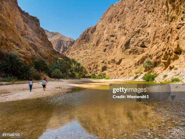 oman, wadi tiwi - riverbed stock pictures, royalty-free photos & images