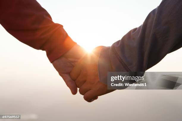 couple hand in hand at sunset - ciel romantique photos et images de collection