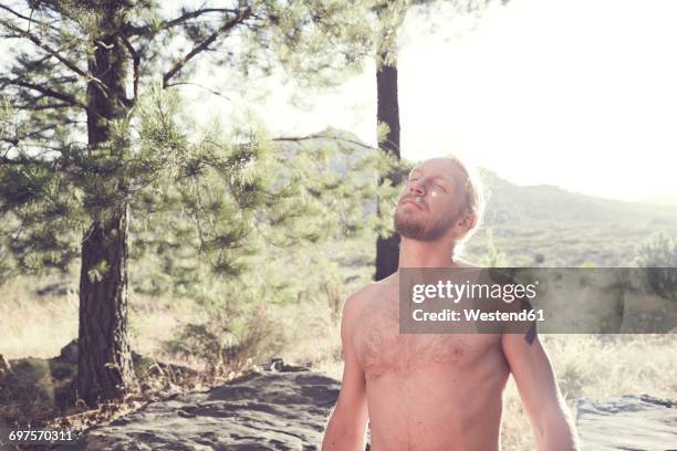 barechested man with closed eyes in the countryside - nudite stock-fotos und bilder
