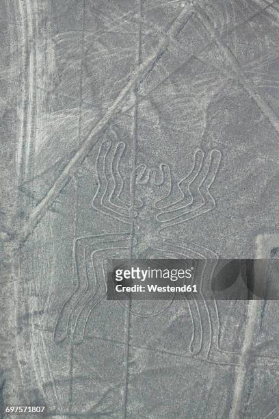 peru, nazca, aerial view of geoglyphs of nazca, the spider - nazca lines stock-fotos und bilder