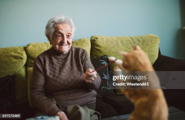 smiling senior woman playing with her kitten at home - old lady cat stock pictures, royalty-free photos & images