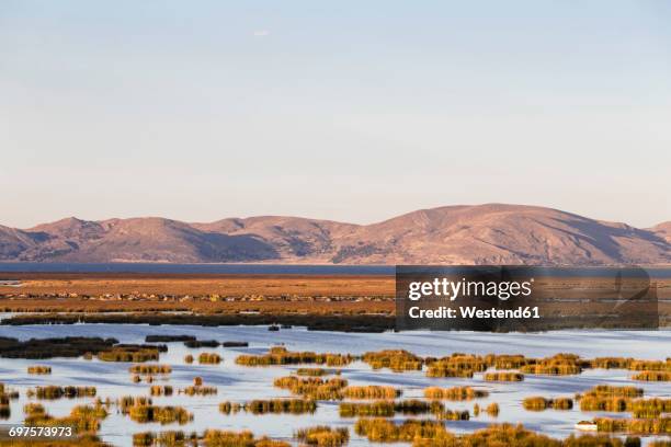 peru, titicaca lake, uros floating island - floating island stock pictures, royalty-free photos & images