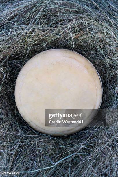 cheese on straw - wiel kaas stockfoto's en -beelden