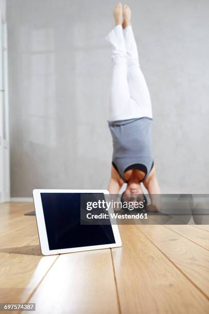 woman practising yoga doing a headstand behind tablet - shirshasana stock pictures, royalty-free photos & images