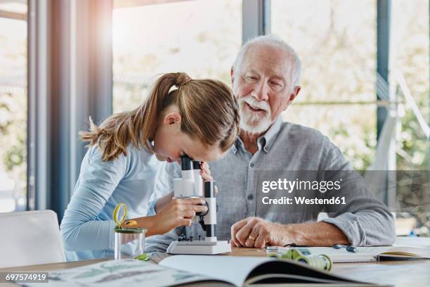 Grad Father 556 Grandfather Comforting Child Stock Photos, High-Res Pictures, and ...
