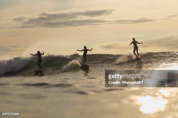 indonesia, bali, three surfers at sunset - indonesia surfing imagens e fotografias de stock
