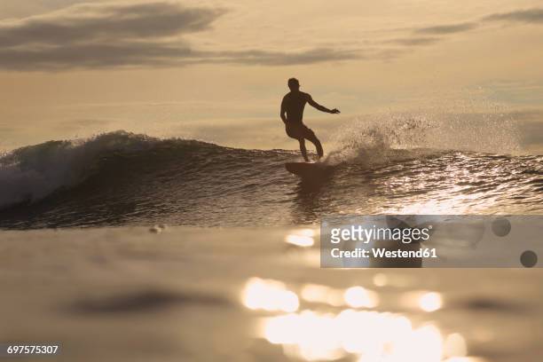 indonesia, bali, surfer at sunset - indonesia surfing imagens e fotografias de stock