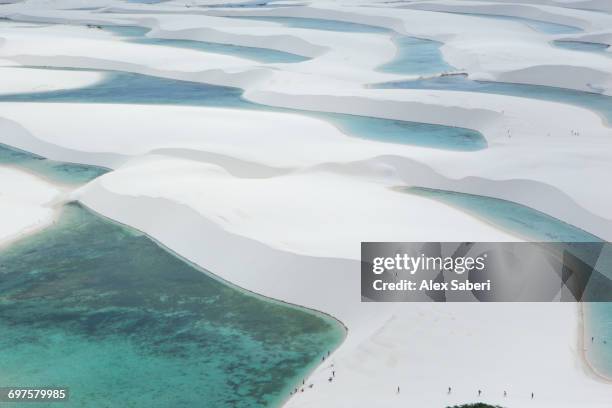 "maranhao, brazil." - lencois maranhenses national park stock pictures, royalty-free photos & images