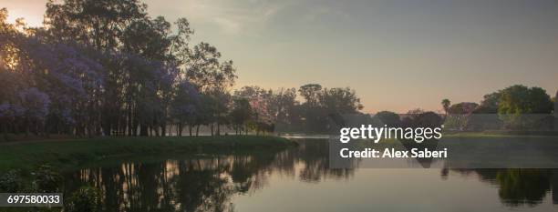 brazil. - ibirapuera park stock-fotos und bilder