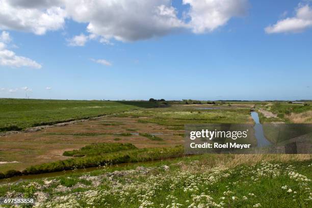 salt marsh westenschouwense inlaag along eastern scheldt. - tidal marsh stock pictures, royalty-free photos & images