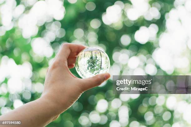 hand holding crystal ball against green trees bokeh - crystal ball stock-fotos und bilder