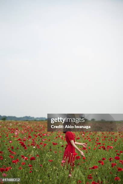 poppy and women - coquelicot photos et images de collection