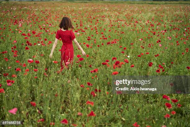 poppy and women - akio iwanaga 個照片及圖片檔