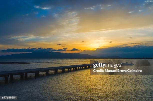 sunset in delta del ebro - delta do rio ebro imagens e fotografias de stock