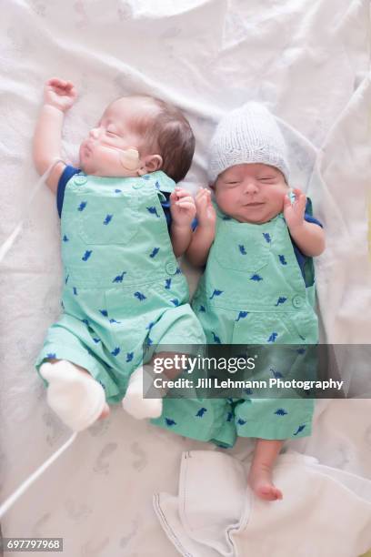 premature twin babies get ready to leave hospital - lettino ospedale foto e immagini stock